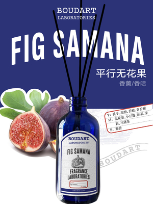 FIG SAMANA Reed Diffuser Aroma Rattan Stick w eleganckim stylu projektowania z brzoskwiniowymi nutami