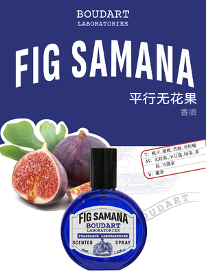 FIG SAMANA Spray do ciała Olej zapachowy z wapnia i piżmy skoncentrowany z olejkiem eterycznym z goździków