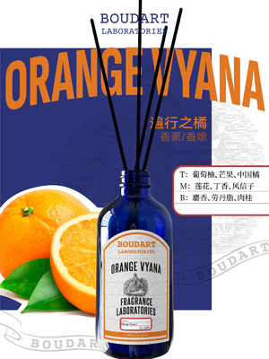 OEM Rozpraszacz trzciny pomarańczowy i cynamon naturalna butelka szklana perfumy