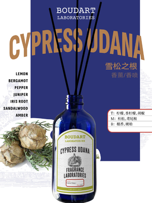 CYPRESS UDANA Dysfuzor z drzewa drzewnego Sprzedawcy hurtowy OEM Perfumy Dekor domowy butelki ze szkła naturalnego oleju eterycznego Aromat Rattan Stick